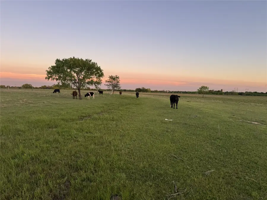 3132 Vz County Road 3808, Wills Point, TX 75169 - #2