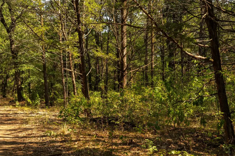 4 Acres Tiffany Lane, Whitesboro, TX 76273 - #3