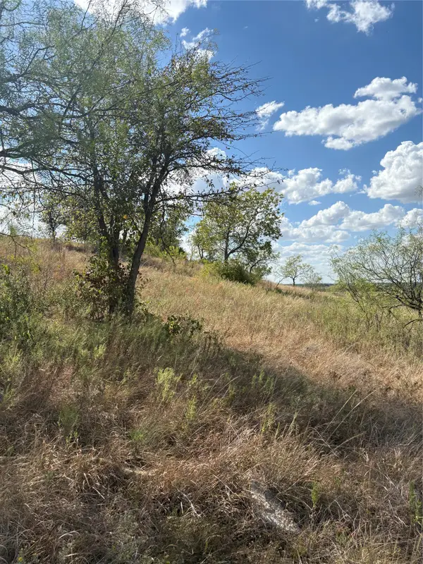19 Parks Medow Dr., Gustine, TX 76455