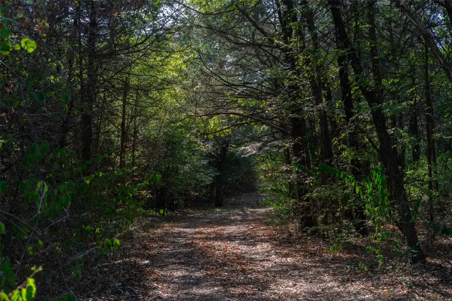 5 Acres +- S Faye Lane, Whitesboro, TX 76273 - #2