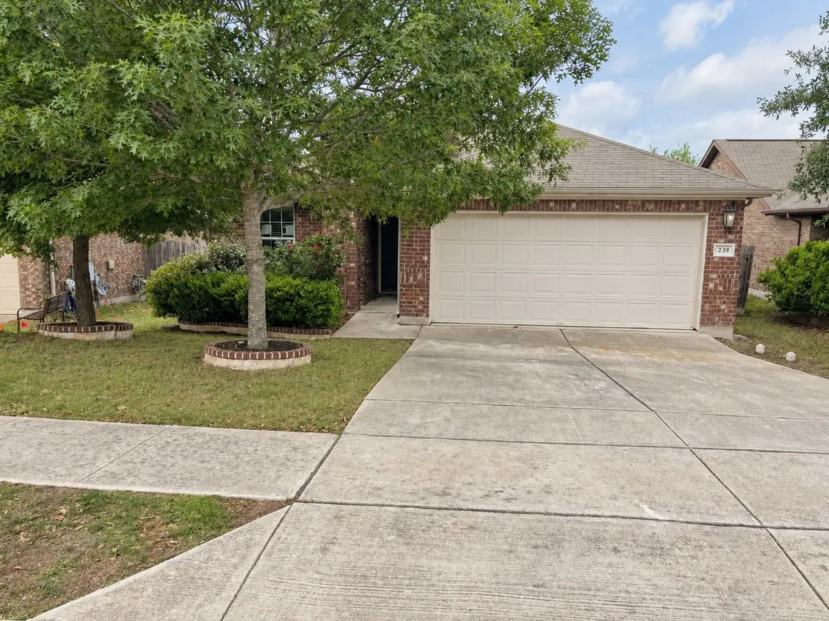 239 Pond View Pass, Buda, TX 78610 - #1