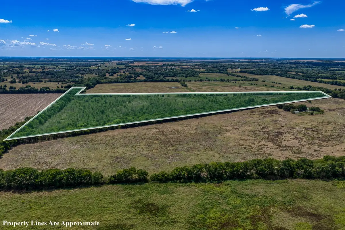 1 County Road 3505, Pecan Gap, TX 75469 - #1