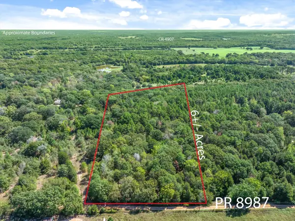 TBD County Road 8987, Ben Wheeler, TX 75754