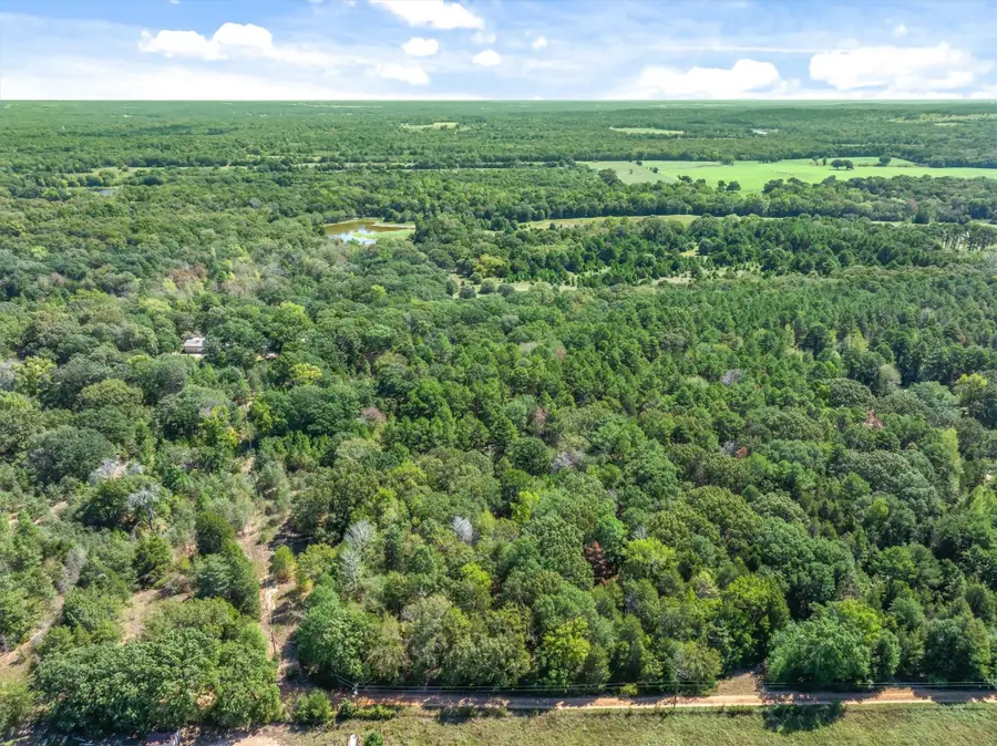 TBD County Road 8987, Ben Wheeler, TX 75754 - #2