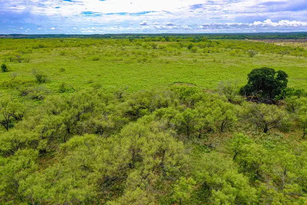 TBD Fm 175 Tract #1, Jacksboro, TX 76365