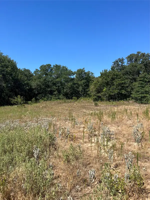 Lot 42 Antrim Court, Poolville, TX 76487