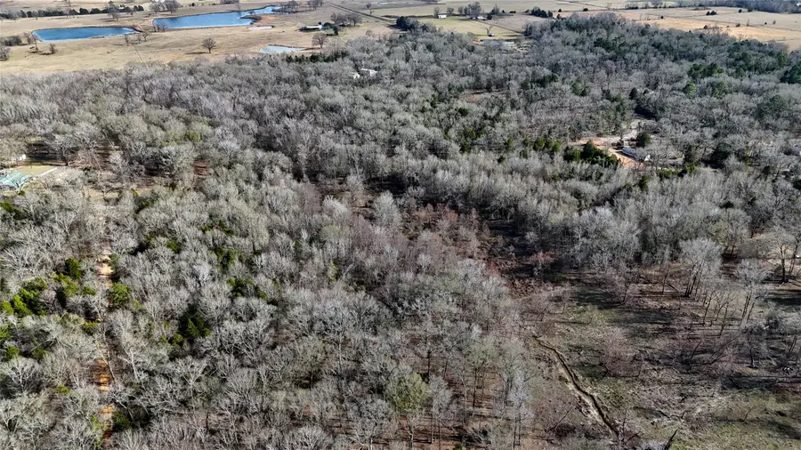 TBD County Road 3801, Athens, TX 75752 - #3