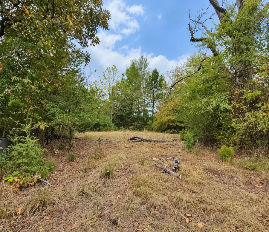 0 Ferguson Road, Harleton, TX 75651 - #2
