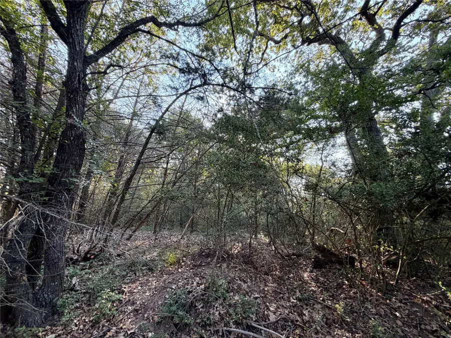 TBD Lcr 894, Groesbeck, TX 76642 - #2