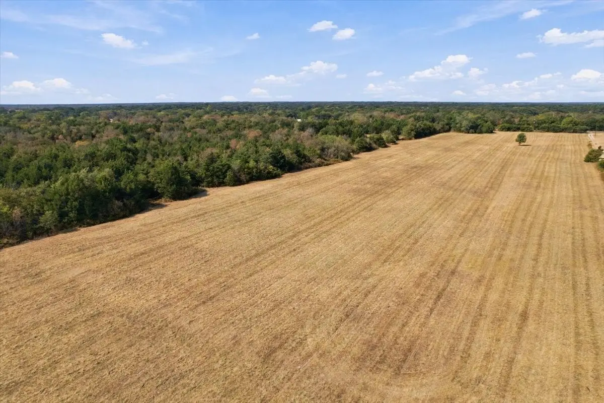 YBD Farm Road 273, Ivanhoe, TX 75447 - #1