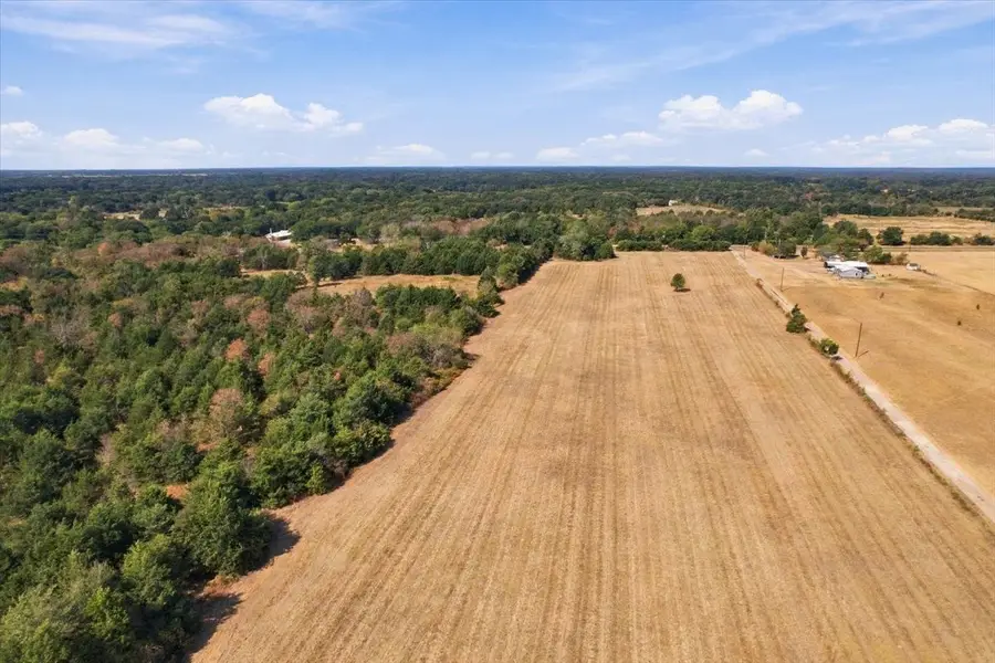 YBD Farm Road 273, Ivanhoe, TX 75447 - #2
