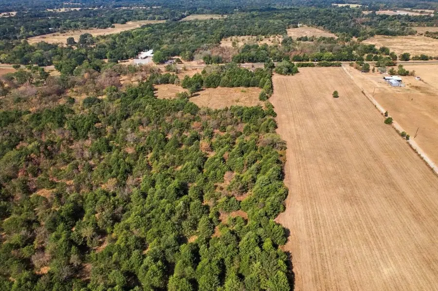 YBD Farm Road 273, Ivanhoe, TX 75447 - #3