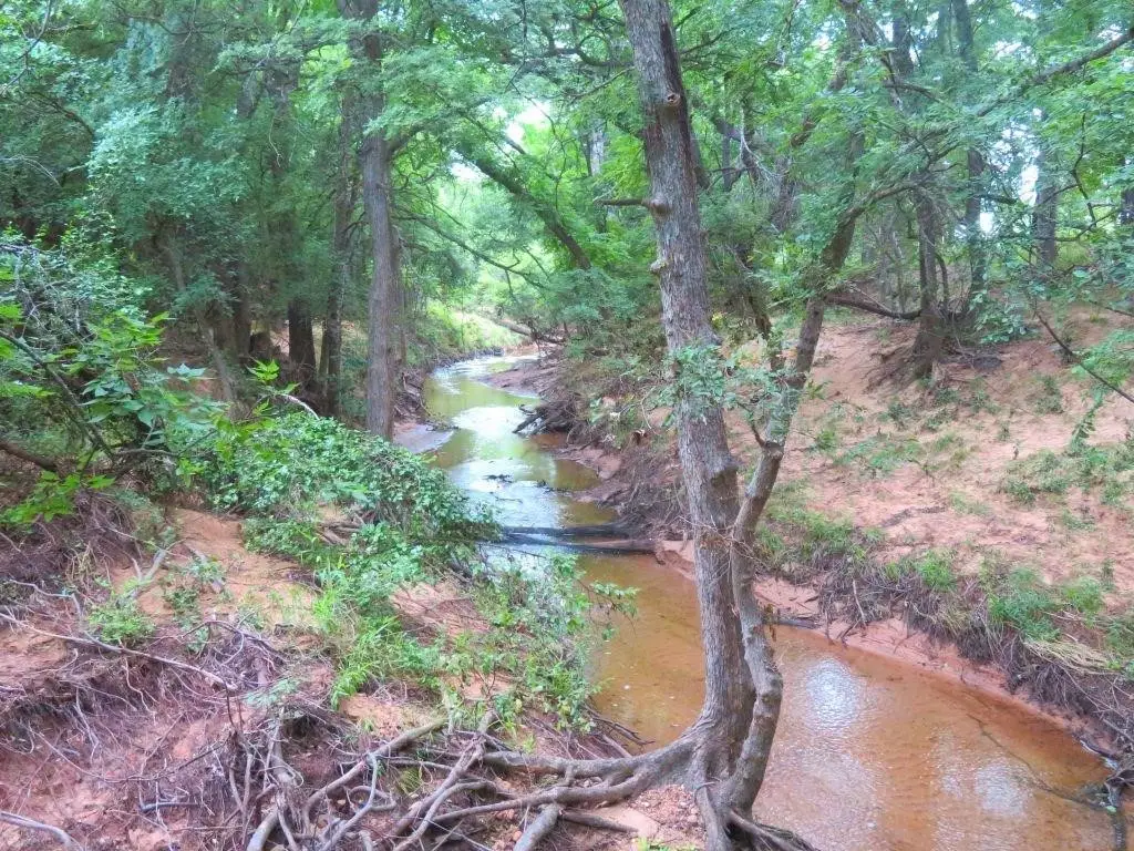 0000 Fm 1125, Bowie, TX 76230 - #1