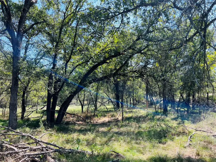 TBD Shiloh Sharps Landing, Santo, TX 76472 - #2