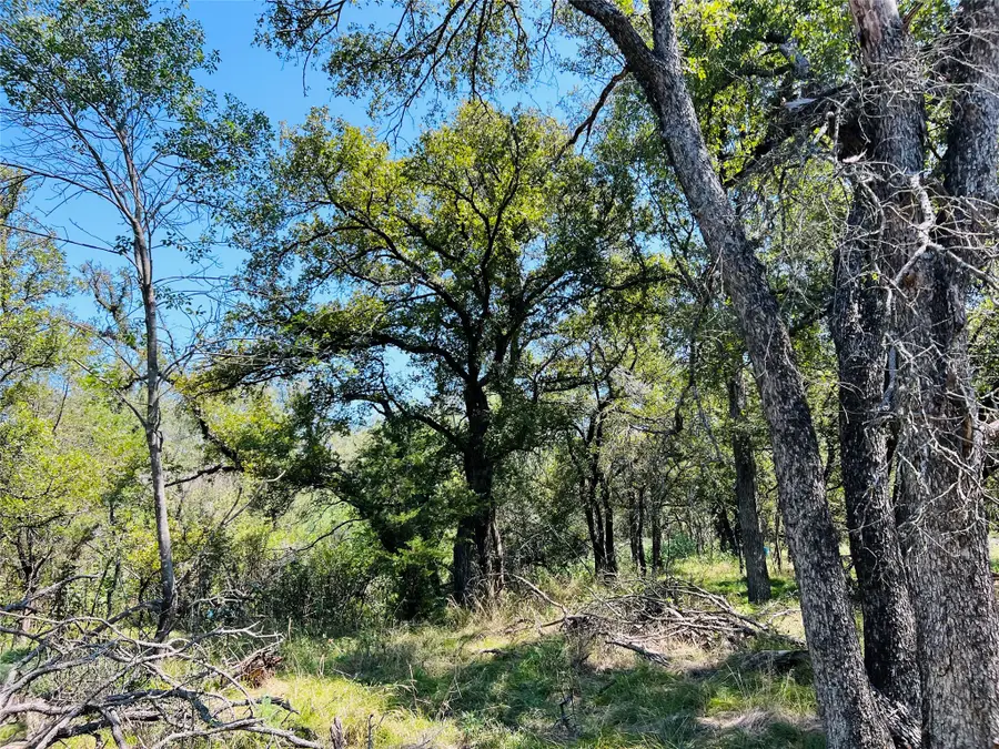 TBD Shiloh Sharps Landing, Santo, TX 76472 - #3