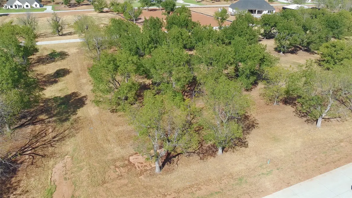 1430 Cirrus Loop, Granbury, TX 76049 - #1