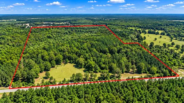 368 Morman Road, Homer, LA 71040