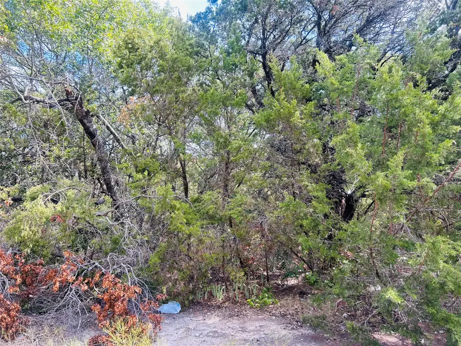TBD Giant Cedar Trl, Whitney, TX 76692 - #2
