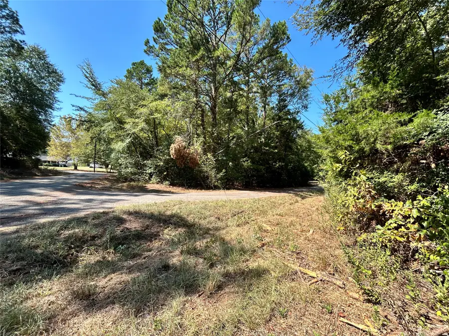 11 Hillside Circle, Berryville, TX 75763 - #2