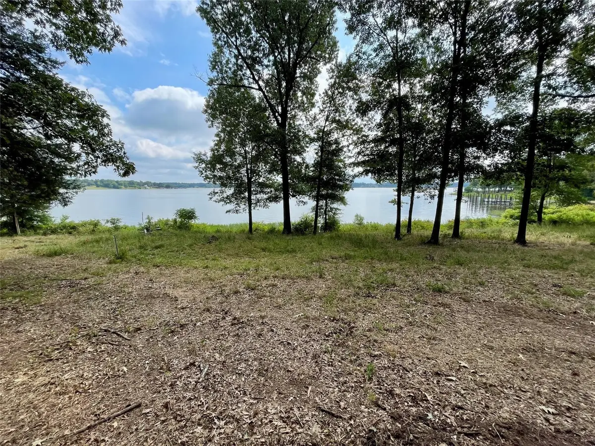 101 Sterling Shores Drive, Scroggins, TX 75480 - #1