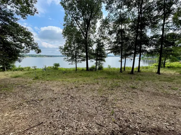 101 Sterling Shores Drive, Scroggins, TX 75480
