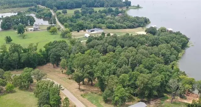 101 Sterling Shores Drive, Scroggins, TX 75480 - #2