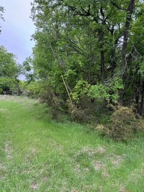 17082 Faircrest Drive, Whitney, TX 76692