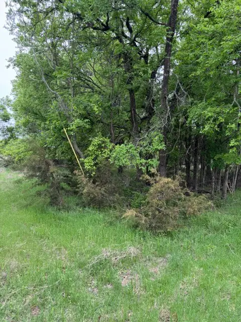 17082 Faircrest Drive, Whitney, TX 76692 - #3