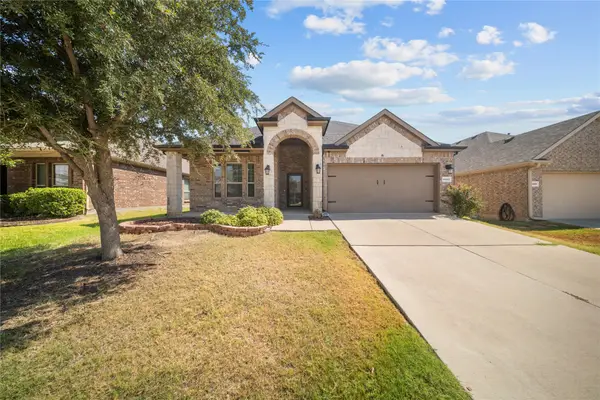 2417 Michelle Creek Drive, Little Elm, TX 75068