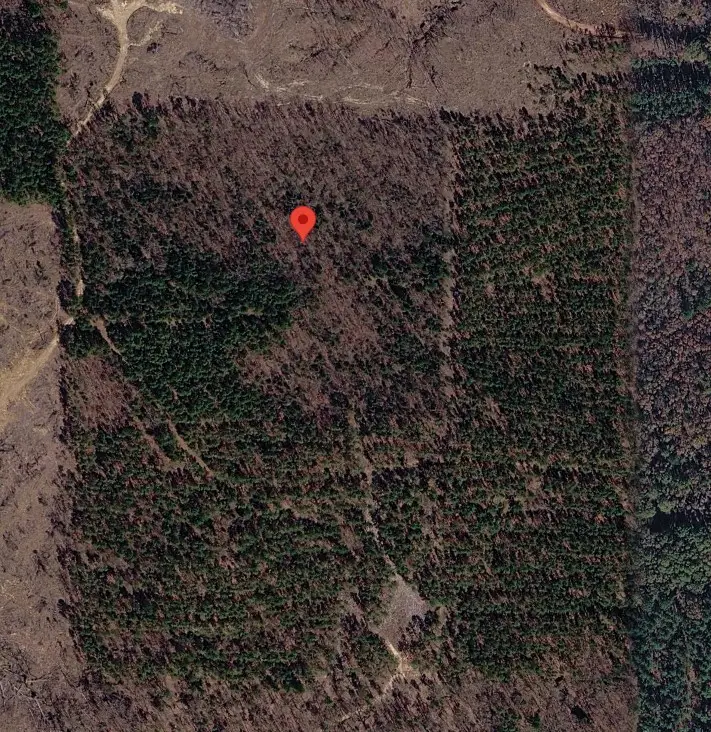 Tract 3 County Road 3769, Queen City, TX 75572 - #1