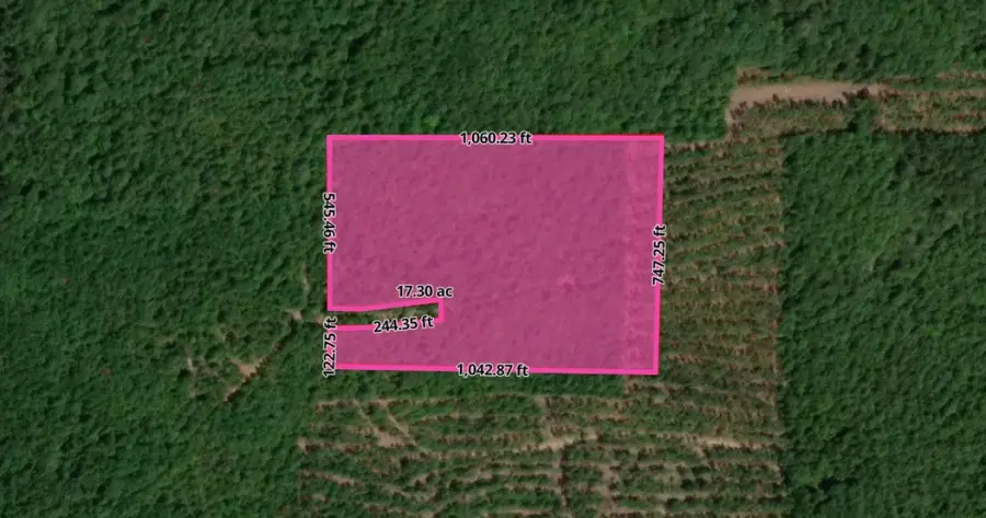 Tract 3 County Road 3769, Queen City, TX 75572 - #3