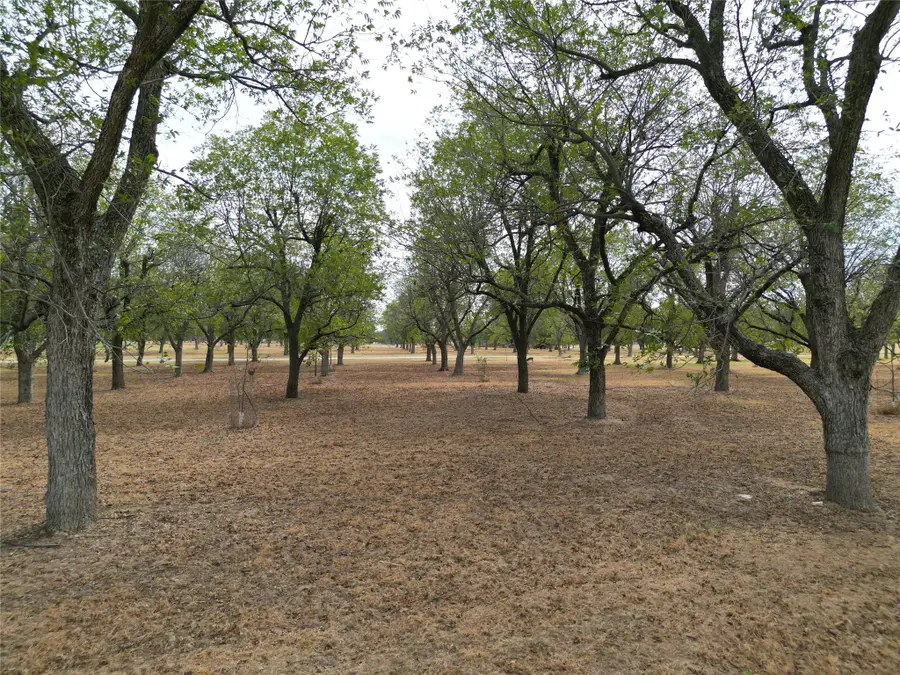 1313 Cirrus Loop, Granbury, TX 76049 - #2