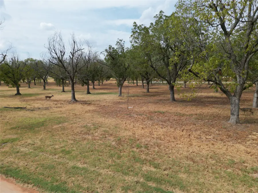 1313 Cirrus Loop, Granbury, TX 76049 - #3