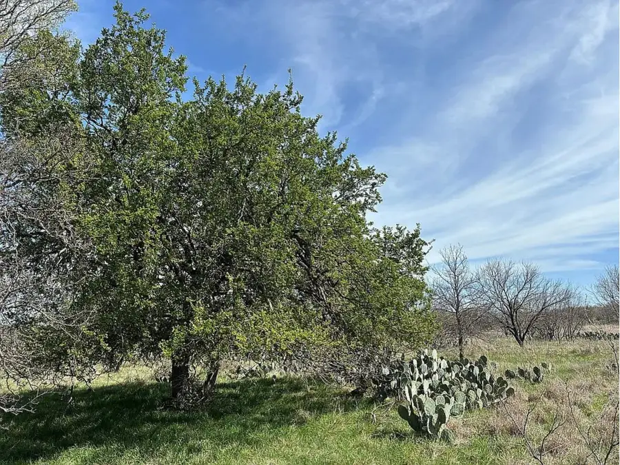 433 County Road 327, Gouldbusk, TX 76845 - #2