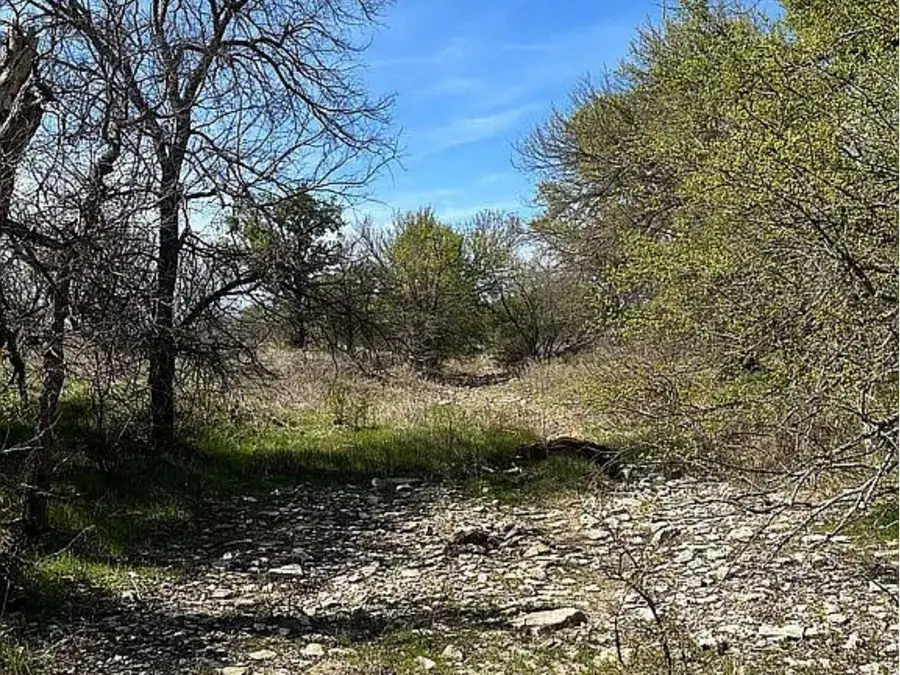 433 County Road 327, Gouldbusk, TX 76845 - #3