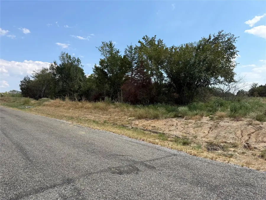 Lot 5 Co Rd 1110, Farmersville, TX 75442 - #2