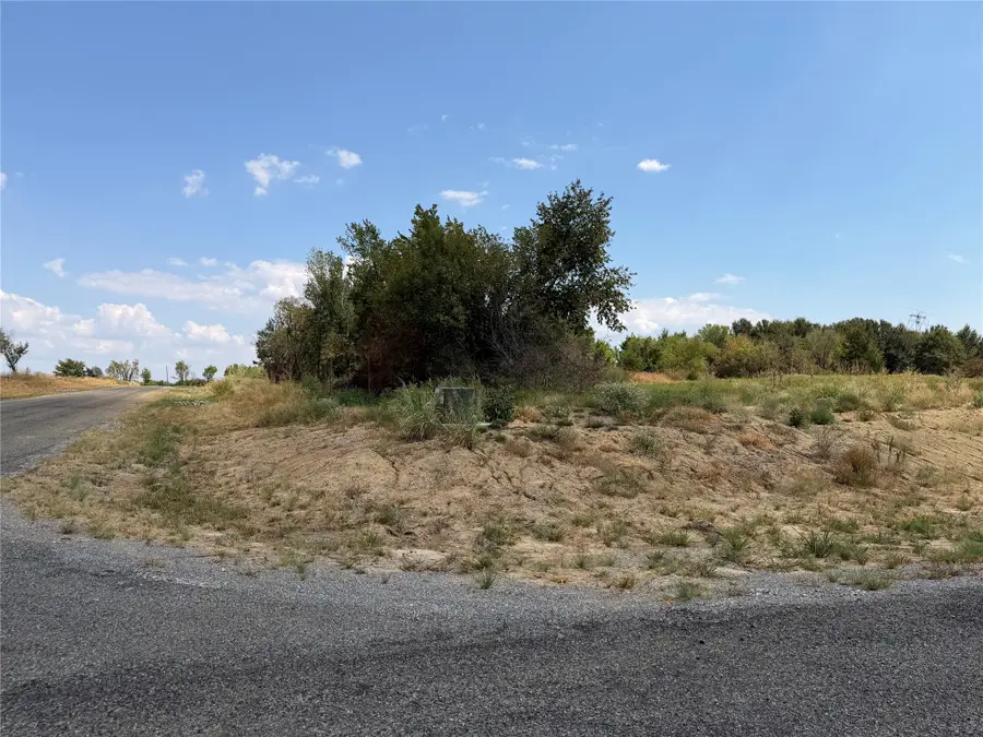 Lot 6 Co Rd 1110, Farmersville, TX 75442 - #2