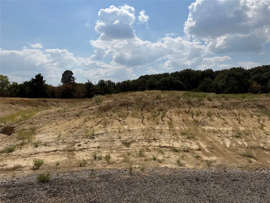 Lot 8 Co Rd 1110, Farmersville, TX 75442 - #2
