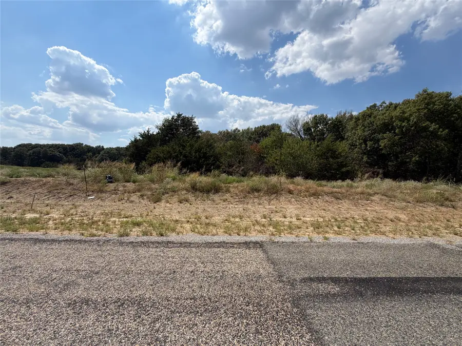 Lot 9 Co Rd 1110, Farmersville, TX 75442 - #2