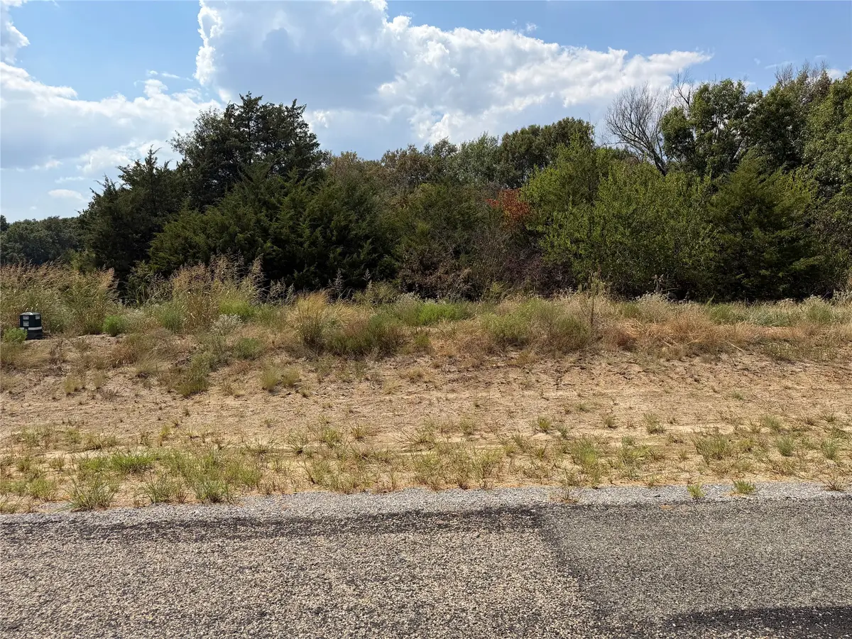 Lot 10 Co Rd 1110, Farmersville, TX 75442 - #1