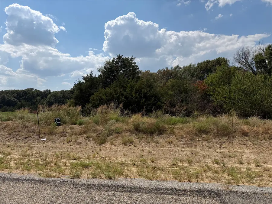 Lot 10 Co Rd 1110, Farmersville, TX 75442 - #2