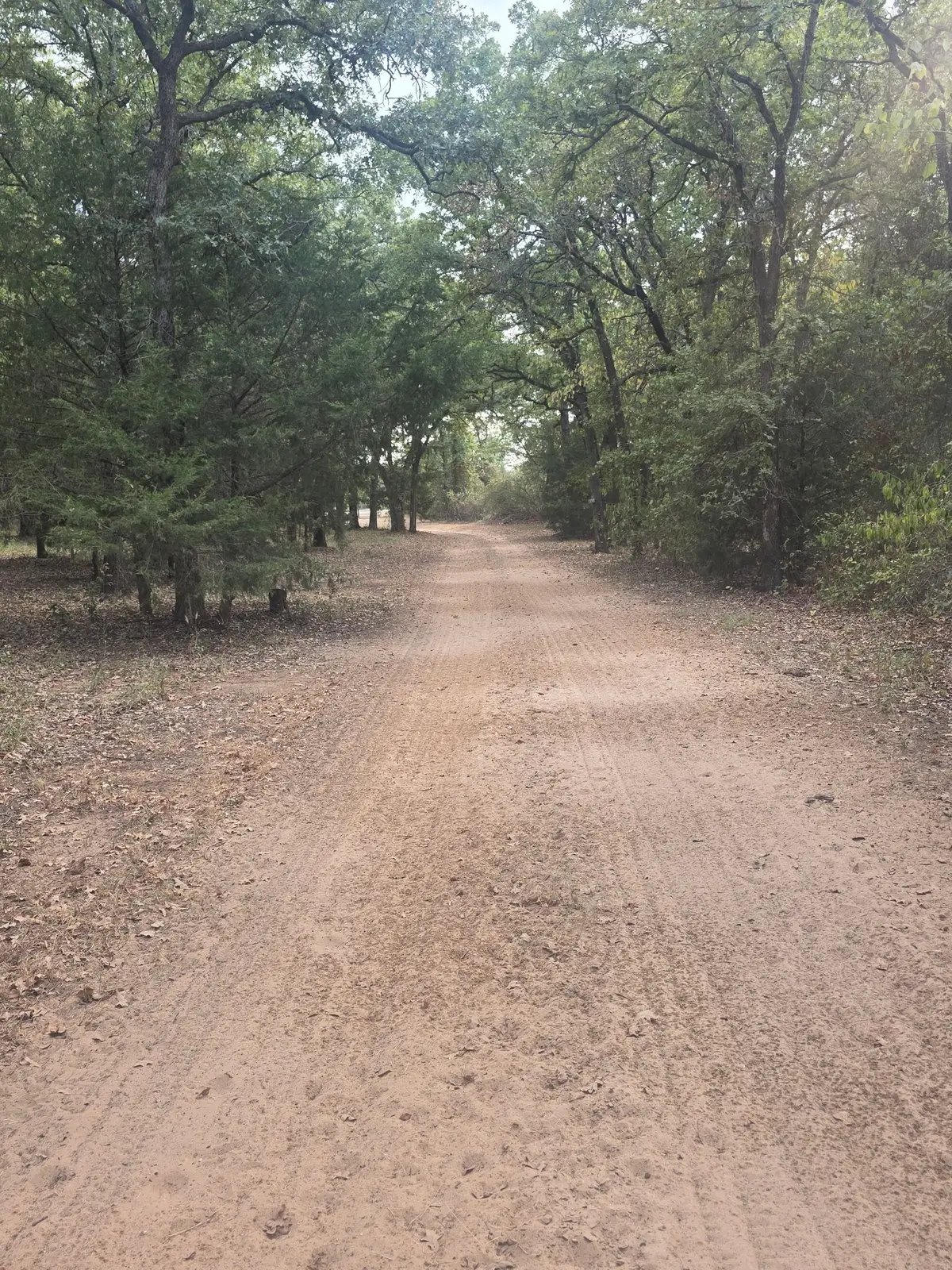 490 Hill County Road 1250, Whitney, TX 76692 - #1