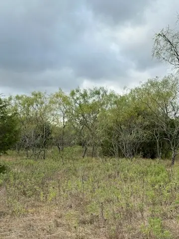 1483 County Road 2435, Hico, TX 76457 - #2