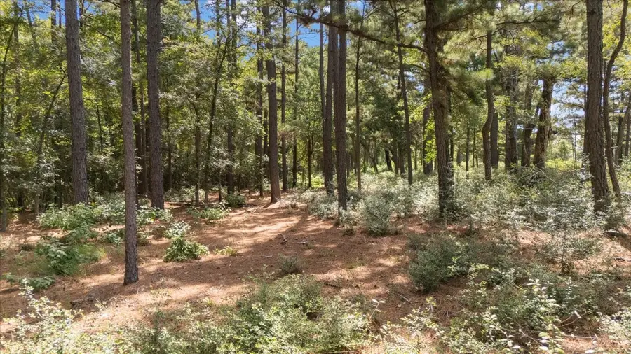 Tract 4 Fm 1002, Big Sandy, TX 75755 - #3