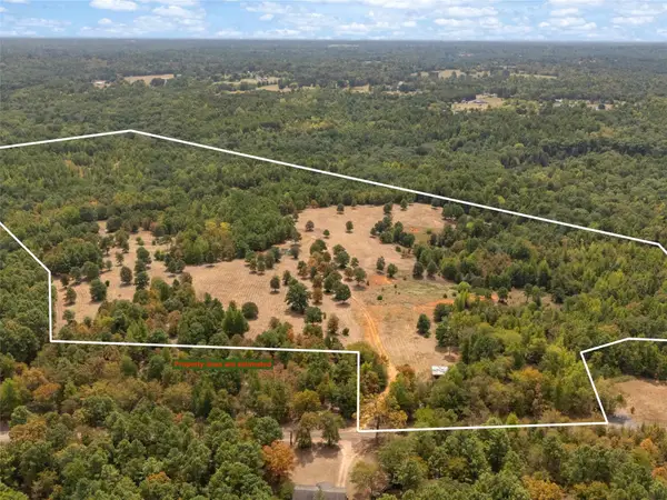 TBD Silk Tree Road, Gilmer, TX 75645