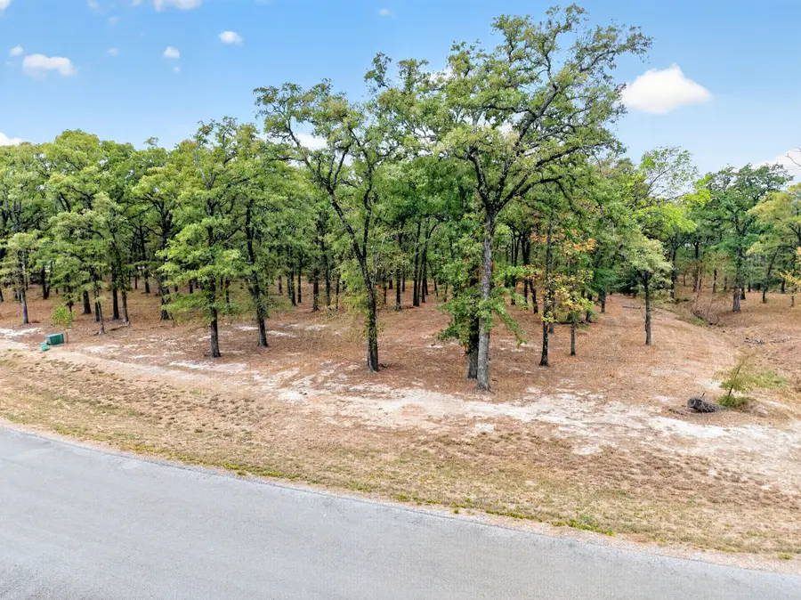 TBD Vintage Shore Drive, Quinlan, TX 75474 - #3