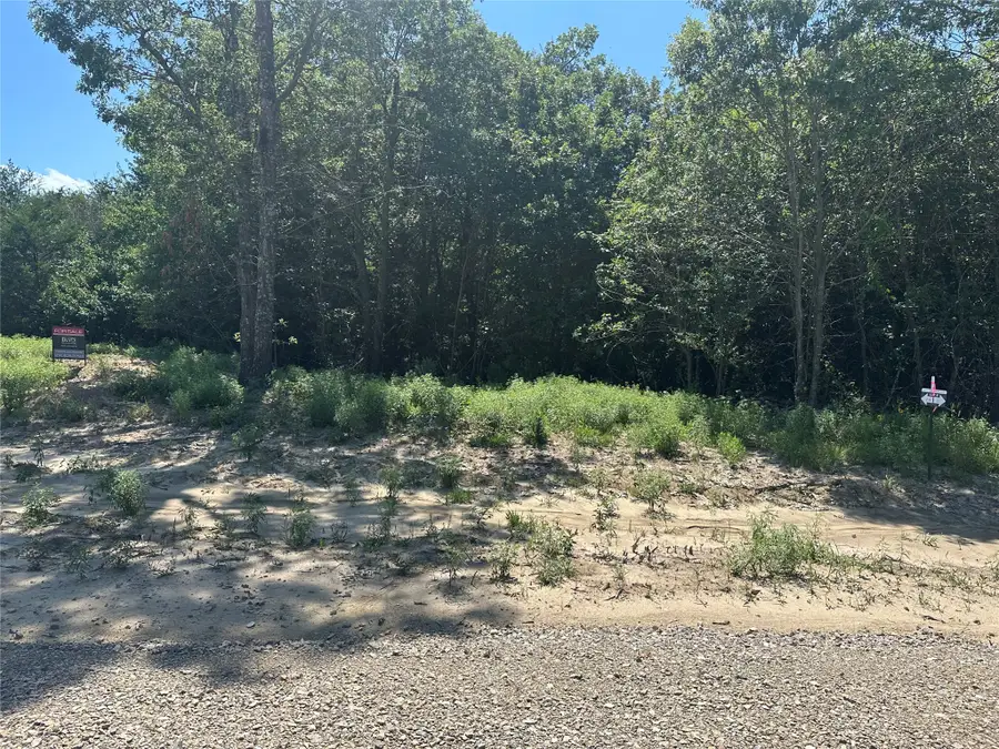 Lot 12 County Road 1110, Farmersville, TX 75442 - #3