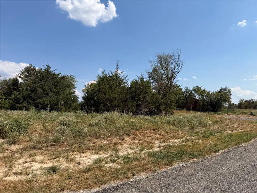 Lot 14 County Road 1110, Farmersville, TX 75442 - #3