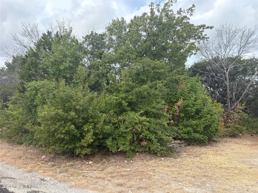 4426 W Oak Trail, Granbury, TX 76048 - #2