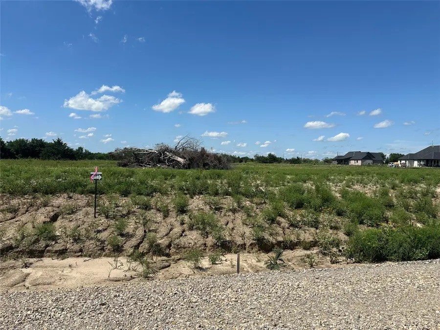 Lot 17 Co Rd 1110, Farmersville, TX 75442 - #2